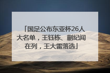 国足公布东亚杯26人大名单，王钰栋、蒯纪闻在列，王大雷落选