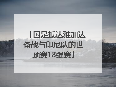 国足抵达雅加达备战与印尼队的世预赛18强赛
