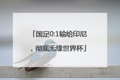 国足0:1输给印尼，彻底无缘世界杯