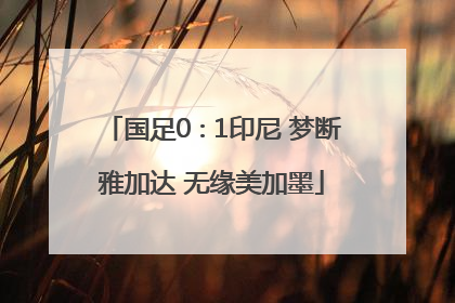 国足0∶1印尼 梦断雅加达 无缘美加墨