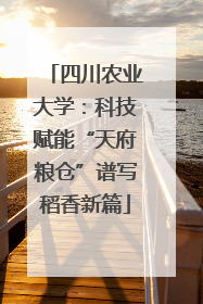 四川农业大学：科技赋能“天府粮仓”谱写稻香新篇