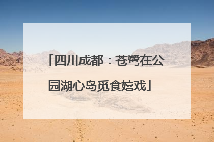 四川成都：苍鹭在公园湖心岛觅食嬉戏