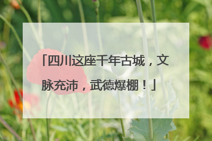 四川这座千年古城，文脉充沛，武德爆棚！