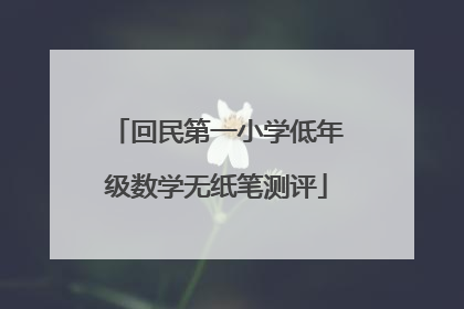 回民第一小学低年级数学无纸笔测评