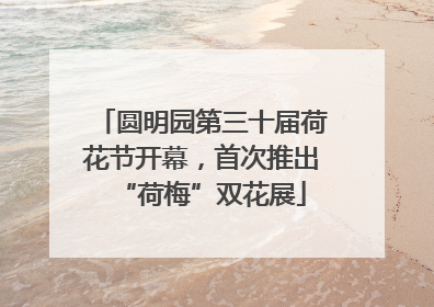 圆明园第三十届荷花节开幕，首次推出“荷梅”双花展