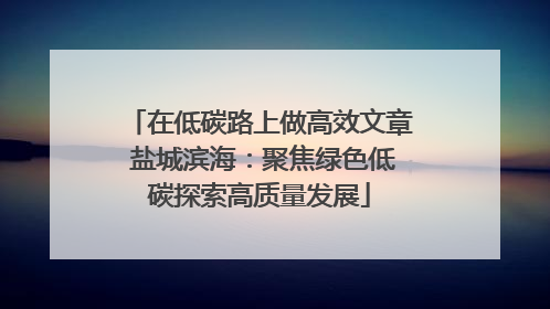 在低碳路上做高效文章 盐城滨海：聚焦绿色低碳探索高质量发展