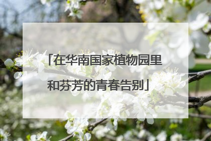 在华南国家植物园里和芬芳的青春告别
