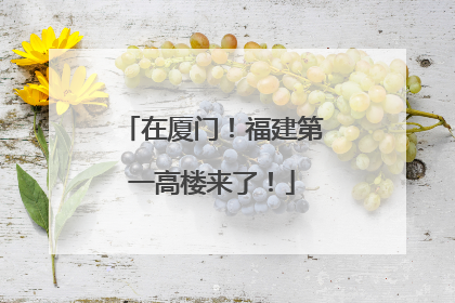 在厦门！福建第一高楼来了！