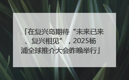 在复兴岛期待“未来已来、复兴相见”，2025杨浦全球推介大会昨晚举行