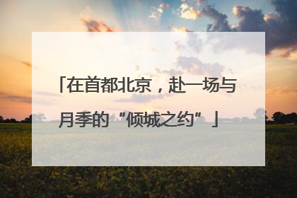 在首都北京，赴一场与月季的“倾城之约”