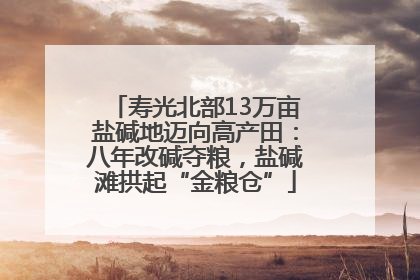 寿光北部13万亩盐碱地迈向高产田：八年改碱夺粮，盐碱滩拱起“金粮仓”