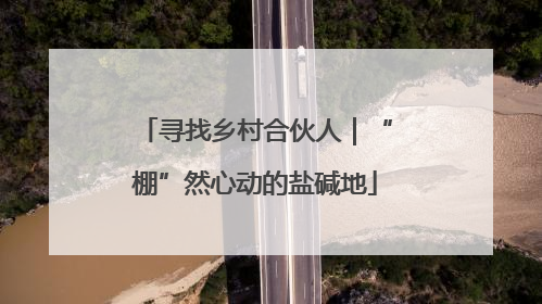 寻找乡村合伙人｜“棚”然心动的盐碱地