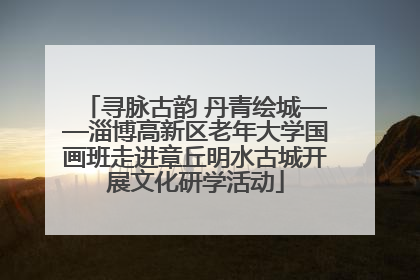 寻脉古韵 丹青绘城——淄博高新区老年大学国画班走进章丘明水古城开展文化研学活动