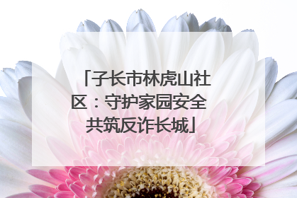 子长市林虎山社区：守护家园安全 共筑反诈长城