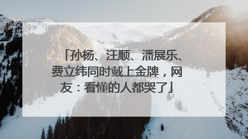 孙杨、汪顺、潘展乐、费立纬同时戴上金牌，网友：看懂的人都哭了