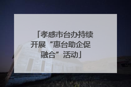 孝感市台办持续开展“惠台助企促融合”活动