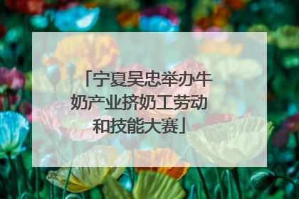 宁夏吴忠举办牛奶产业挤奶工劳动和技能大赛