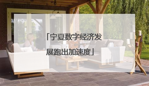 宁夏数字经济发展跑出加速度