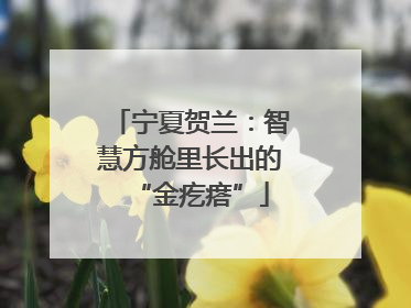 宁夏贺兰：智慧方舱里长出的“金疙瘩”