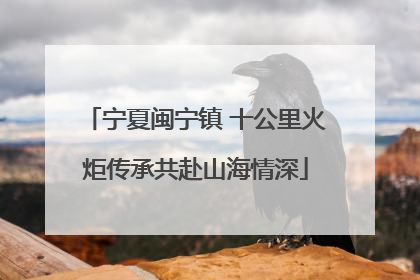 宁夏闽宁镇 十公里火炬传承共赴山海情深