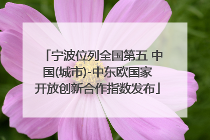 宁波位列全国第五 中国(城市)-中东欧国家开放创新合作指数发布
