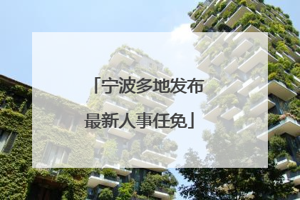 宁波多地发布最新人事任免