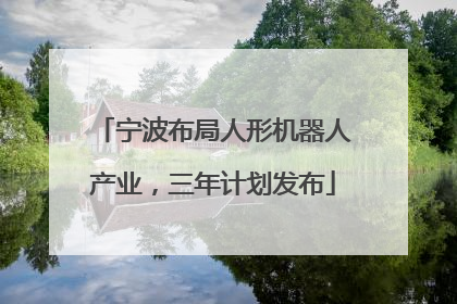 宁波布局人形机器人产业，三年计划发布