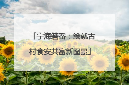 宁海箬岙：绘就古村食安共富新图景