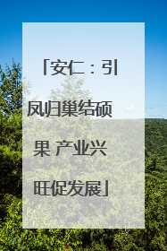 安仁：引凤归巢结硕果 产业兴旺促发展