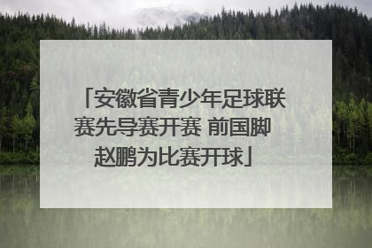 安徽省青少年足球联赛先导赛开赛 前国脚赵鹏为比赛开球