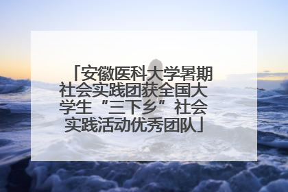 安徽医科大学暑期社会实践团获全国大学生“三下乡”社会实践活动优秀团队