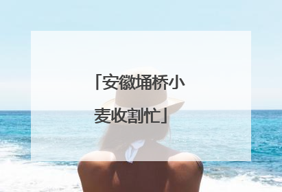 安徽埇桥小麦收割忙