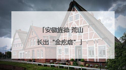 安徽旌德 荒山长出“金疙瘩”