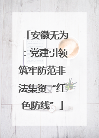 安徽无为：党建引领筑牢防范非法集资“红色防线”