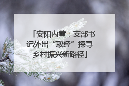 安阳内黄：支部书记外出“取经”探寻乡村振兴新路径
