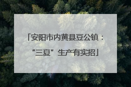 安阳市内黄县豆公镇：“三夏”生产有实招
