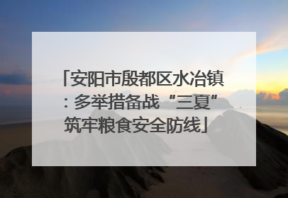 安阳市殷都区水冶镇：多举措备战“三夏” 筑牢粮食安全防线