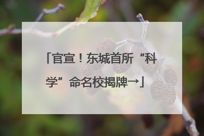 官宣！东城首所“科学”命名校揭牌→