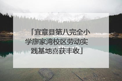 宜章县第八完全小学廖家湾校区劳动实践基地喜获丰收