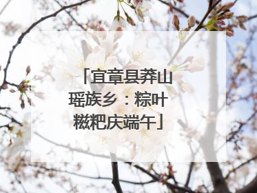 宜章县莽山瑶族乡：粽叶糍粑庆端午