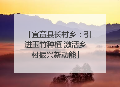 宜章县长村乡：引进玉竹种植 激活乡村振兴新动能