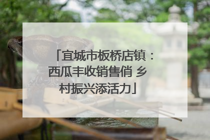宜城市板桥店镇：西瓜丰收销售俏 乡村振兴添活力