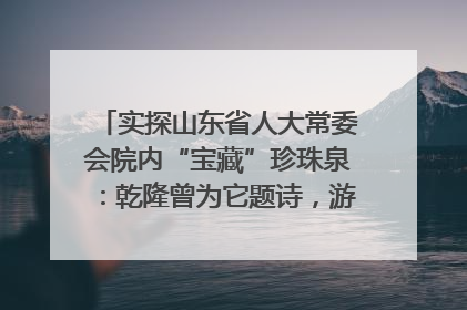 实探山东省人大常委会院内“宝藏”珍珠泉：乾隆曾为它题诗，游客无需预约免费游览