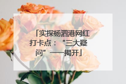 实探杨泗港网红打卡点：“三大疑问”一一揭开