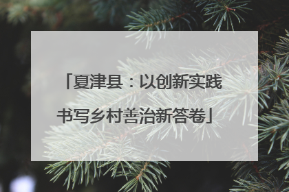 夏津县：以创新实践书写乡村善治新答卷