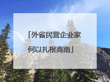 外省民营企业家何以扎根商南