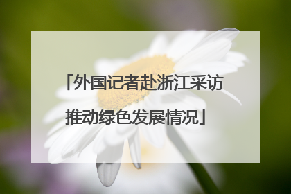 外国记者赴浙江采访推动绿色发展情况
