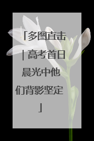 多图直击｜高考首日 晨光中他们背影坚定