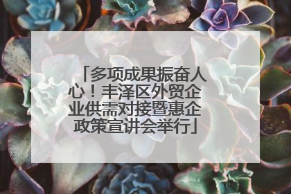 多项成果振奋人心！丰泽区外贸企业供需对接暨惠企政策宣讲会举行