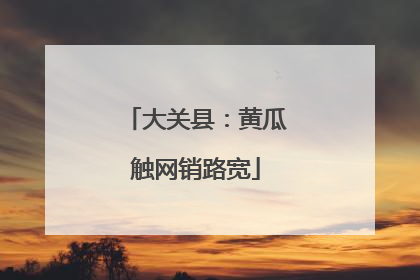 大关县：黄瓜触网销路宽